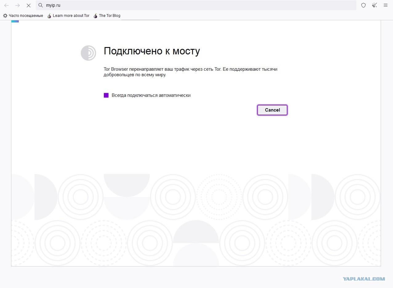 Ссылка на кракен официальный сайт