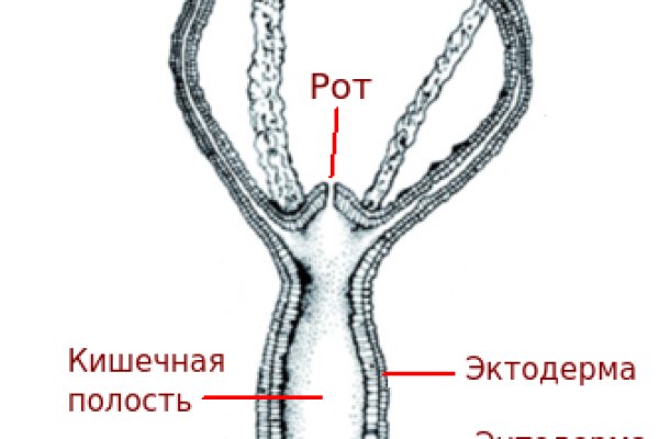 Kra33at