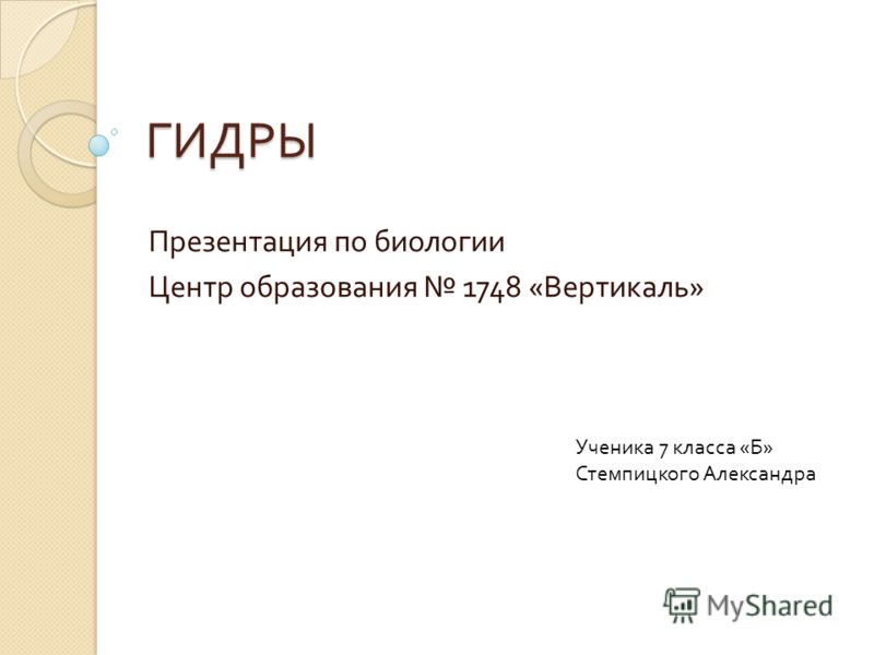 Кракен зон